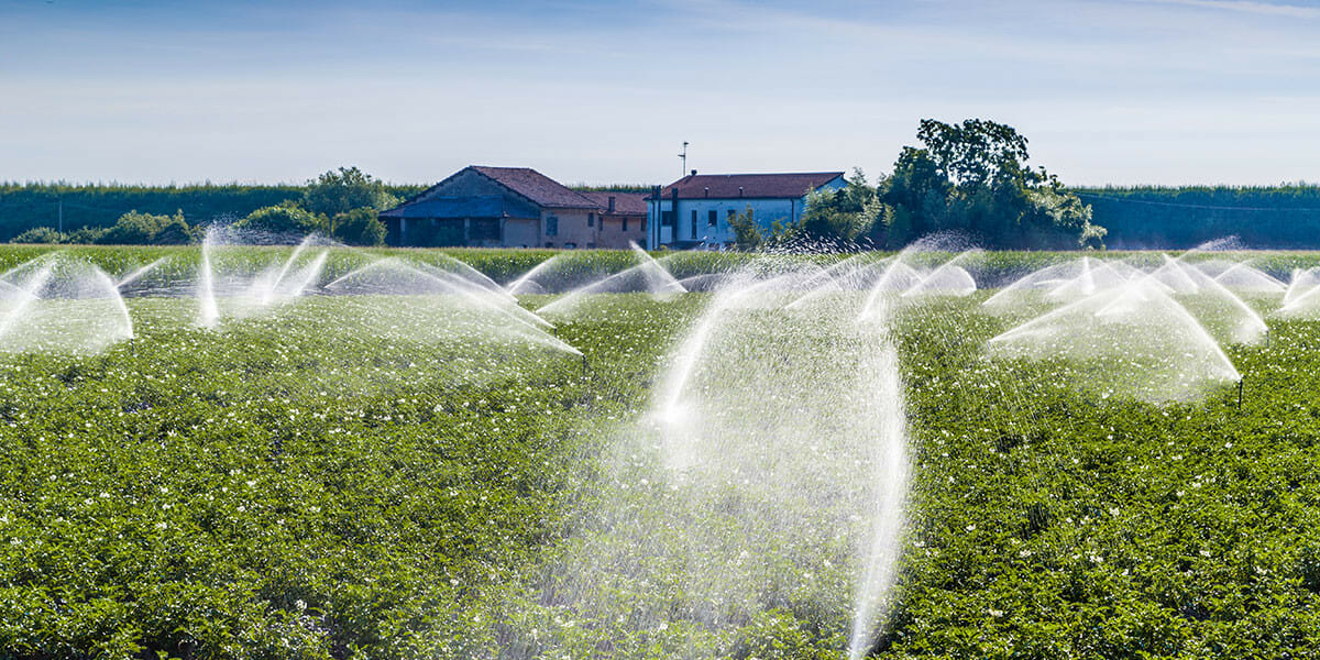 George Farmer's farming techniques and innovations