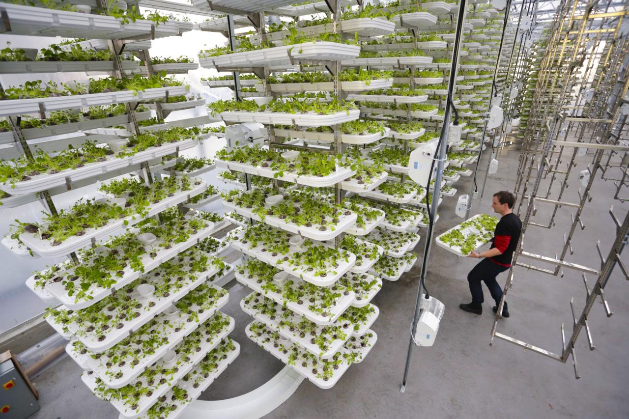 Lufa Farms vertical farming technology and sustainability