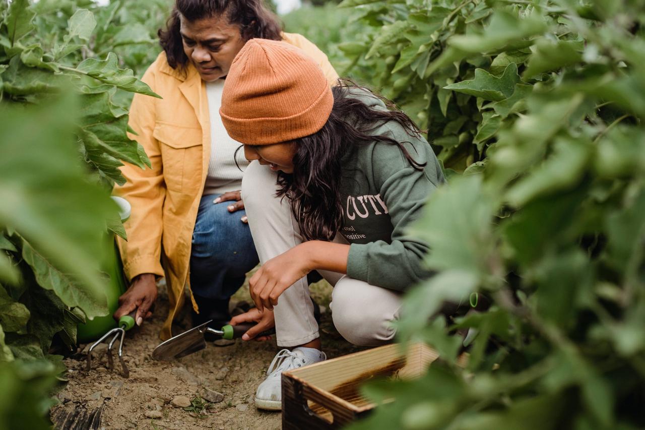 Open farm tours and educational programs near me