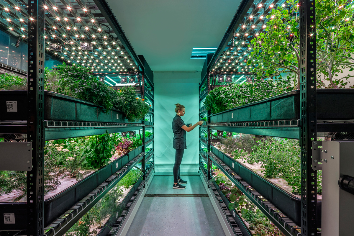 Lufa Farms' vertical farming technology and its impact on urban food security