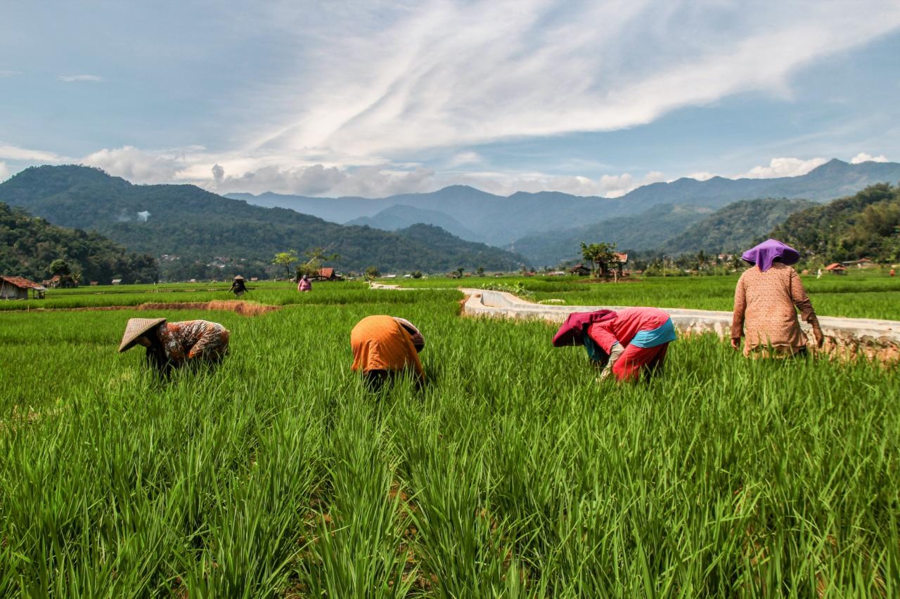 Millennial farmer success stories and challenges