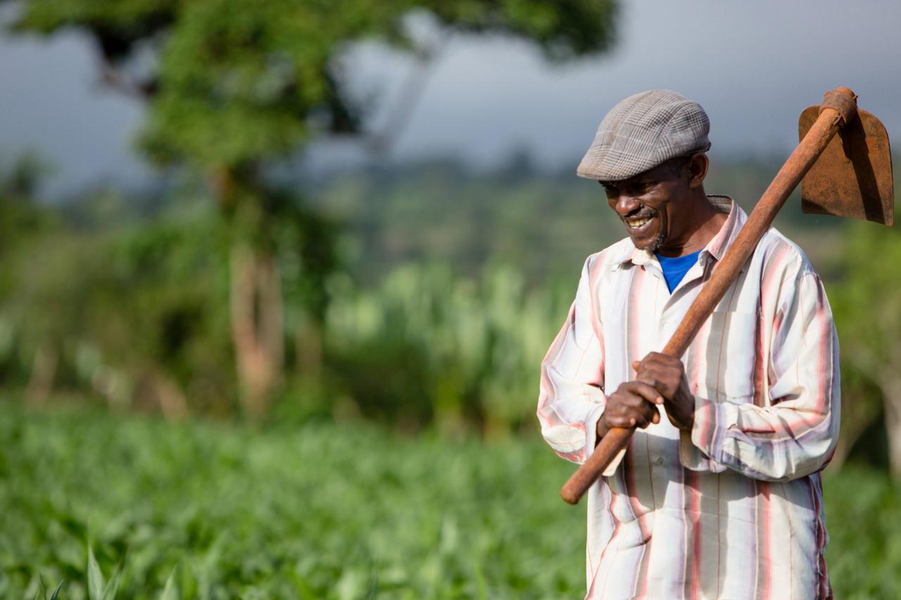 Farmer Jane Regina's impact on local agriculture