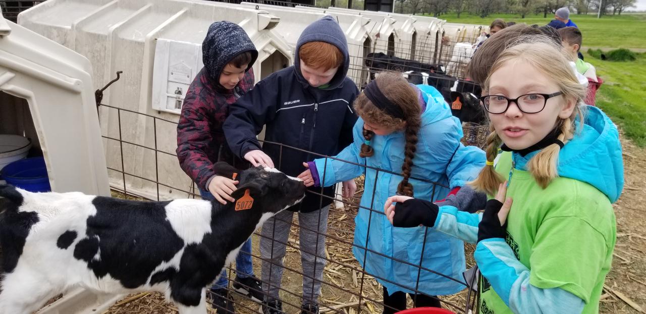 Open farm experiences near me with kids