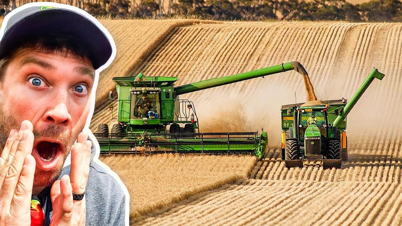 Millennial farmer success stories and challenges