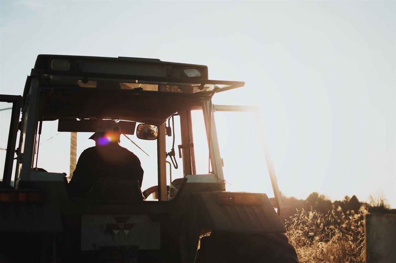 The mental health challenges faced by millennial farmers