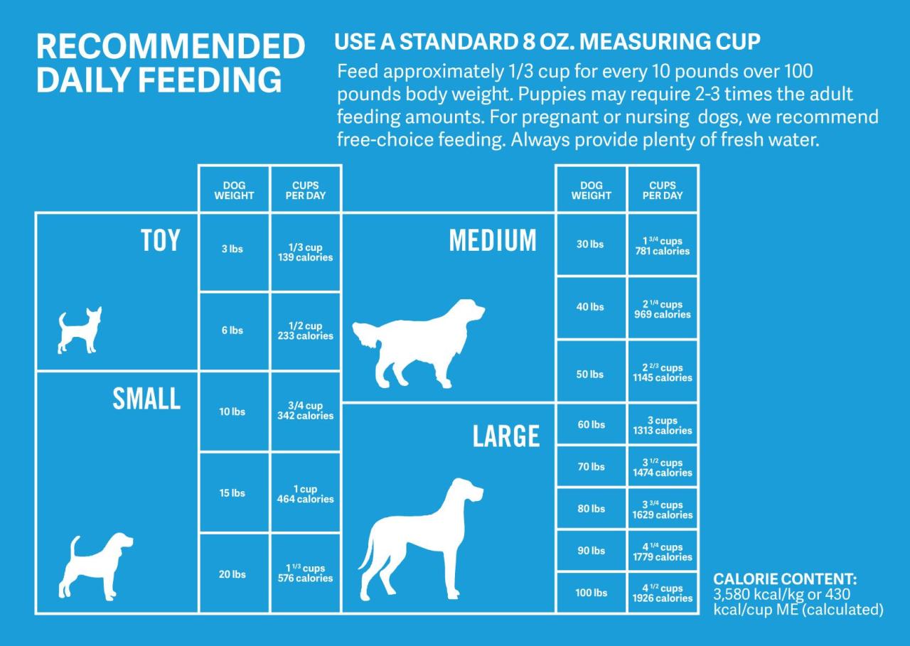 Open Farm puppy food: feeding guide and recommendations