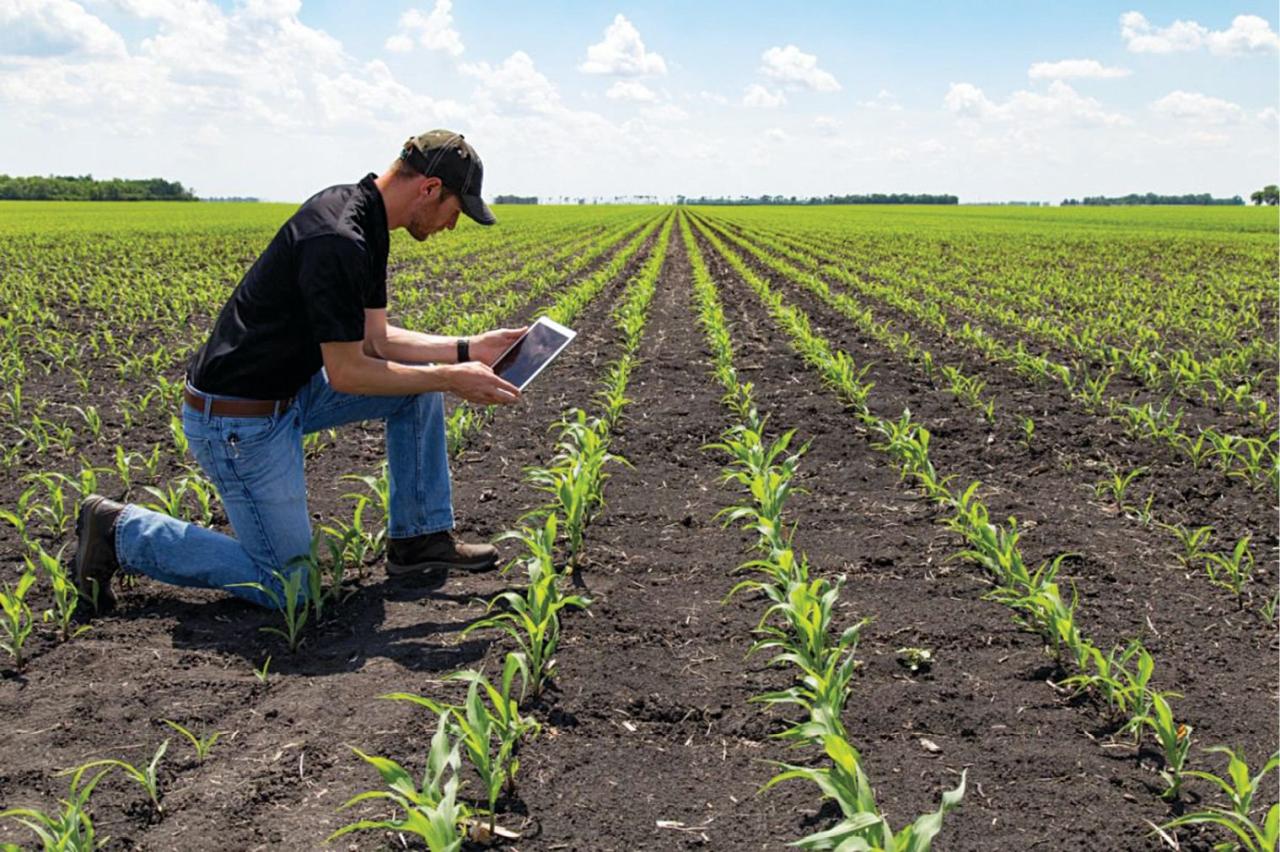 Millennial farmers and the adoption of sustainable farming practices