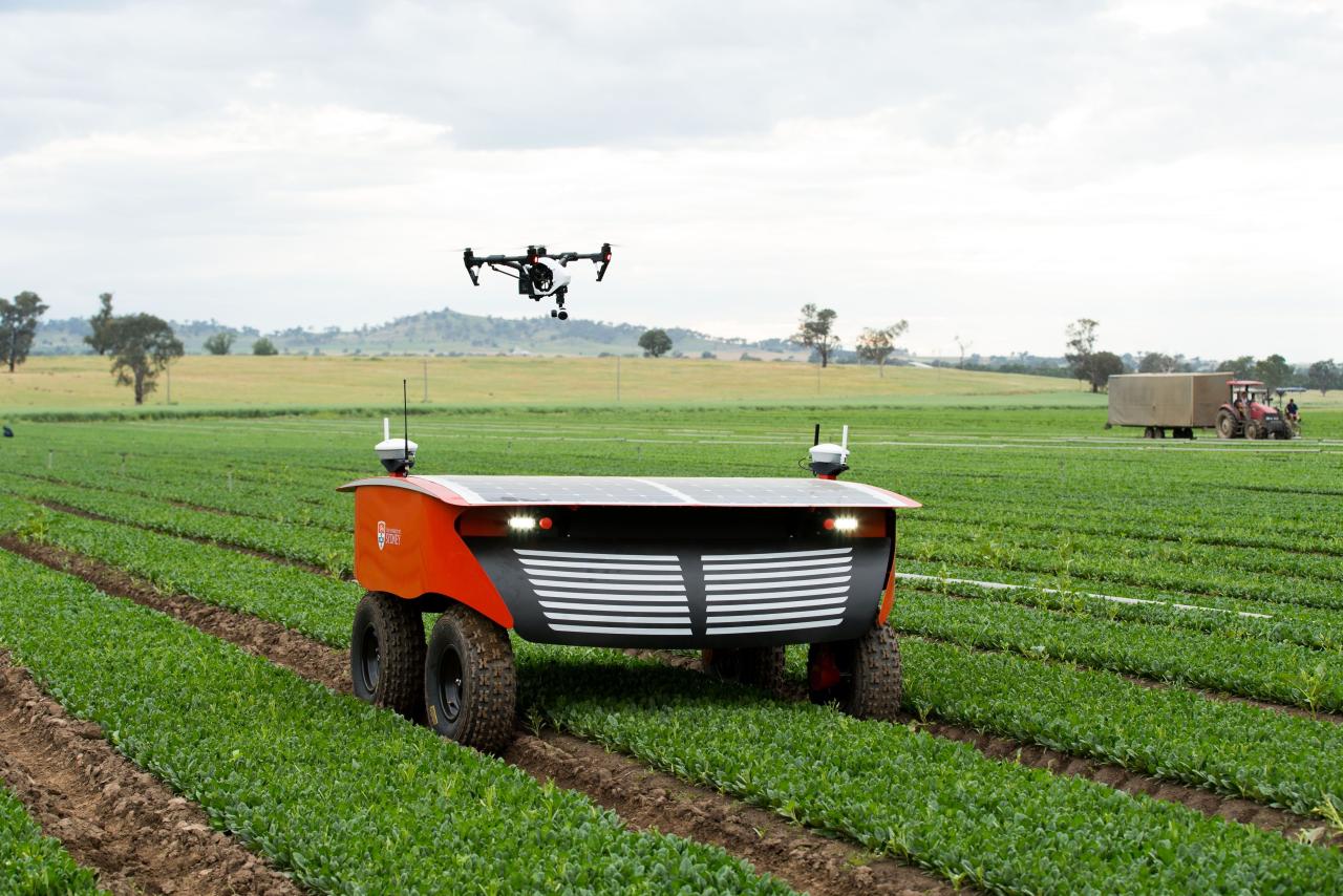 George Farmer's innovative farming techniques