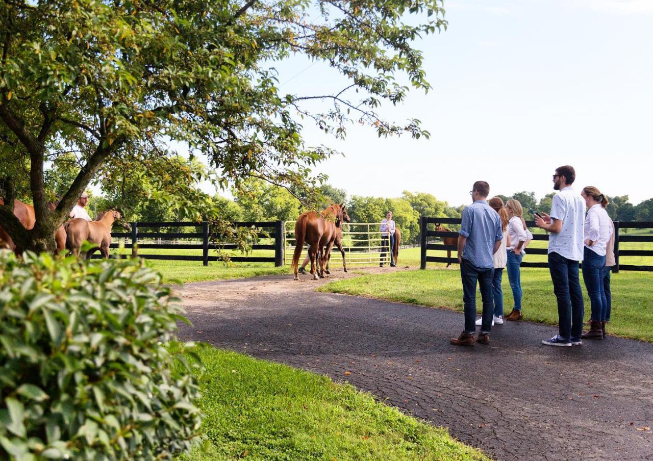 Open farm tours and experiences near me