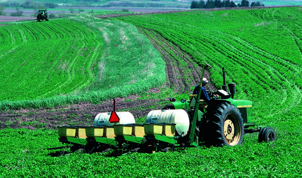 Farmer Jane's sustainable farming practices