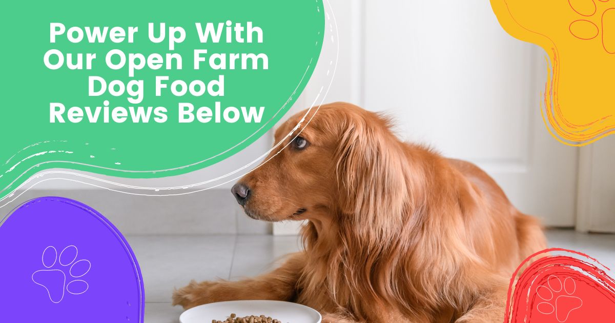 Customer experiences with Open Farm cat food delivery