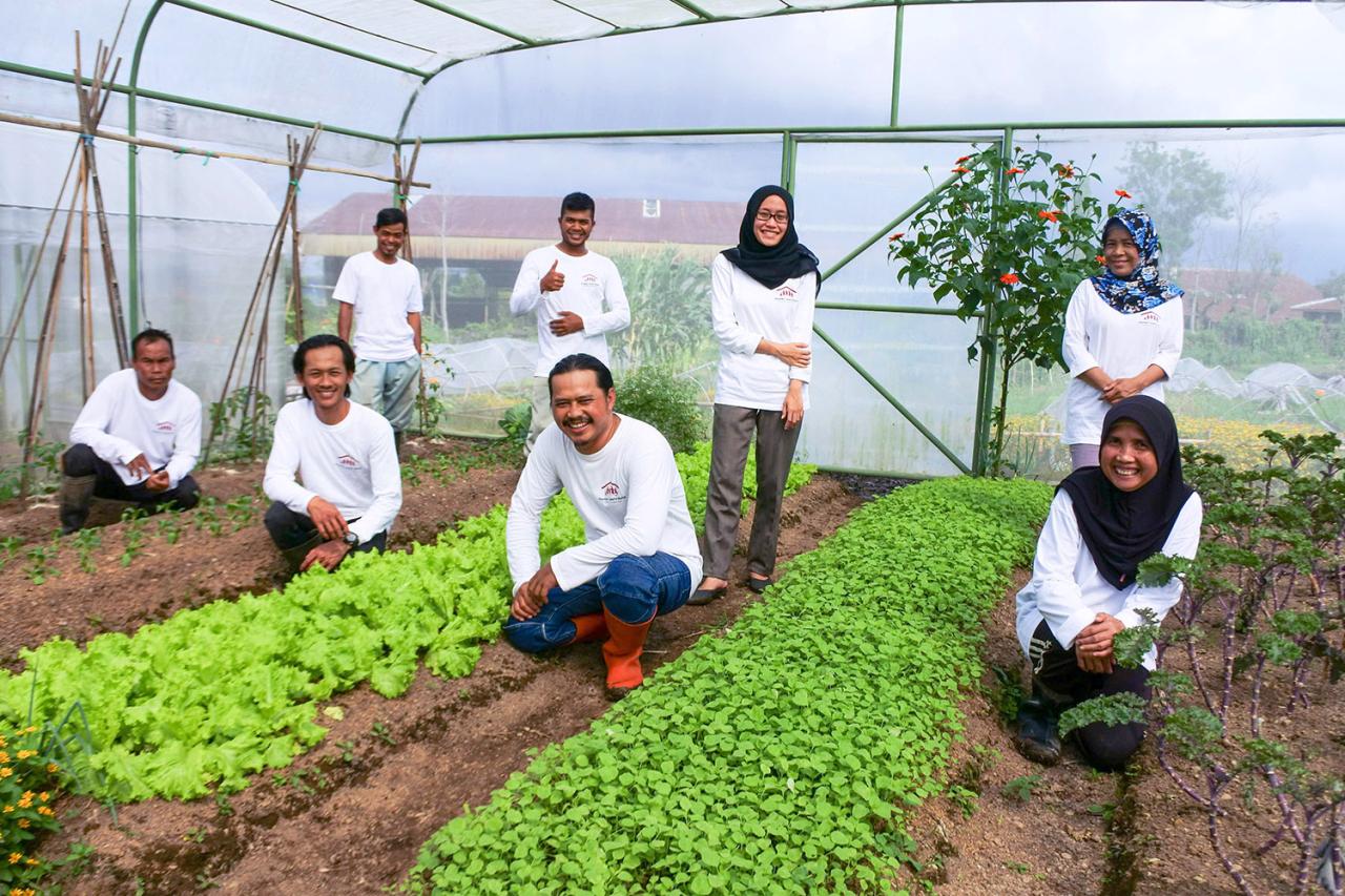 Maan Farms' commitment to organic farming and environmental sustainability