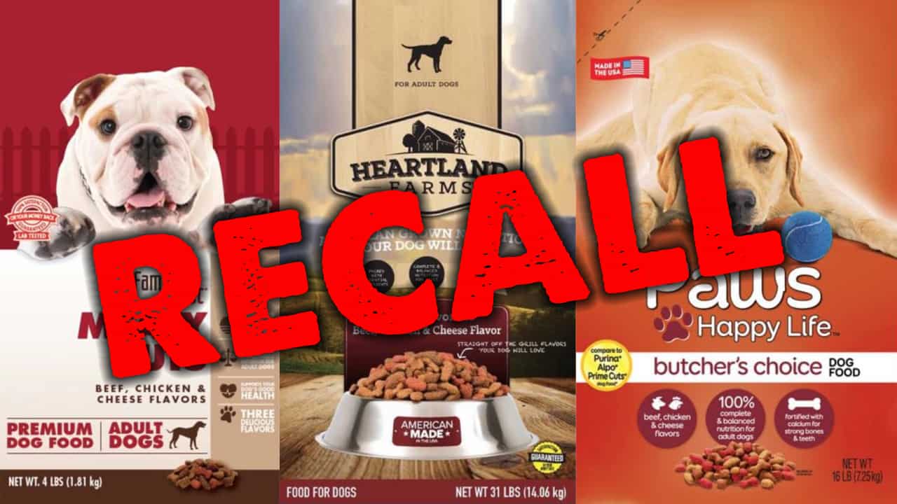 Open Farm dog food recall history and safety concerns