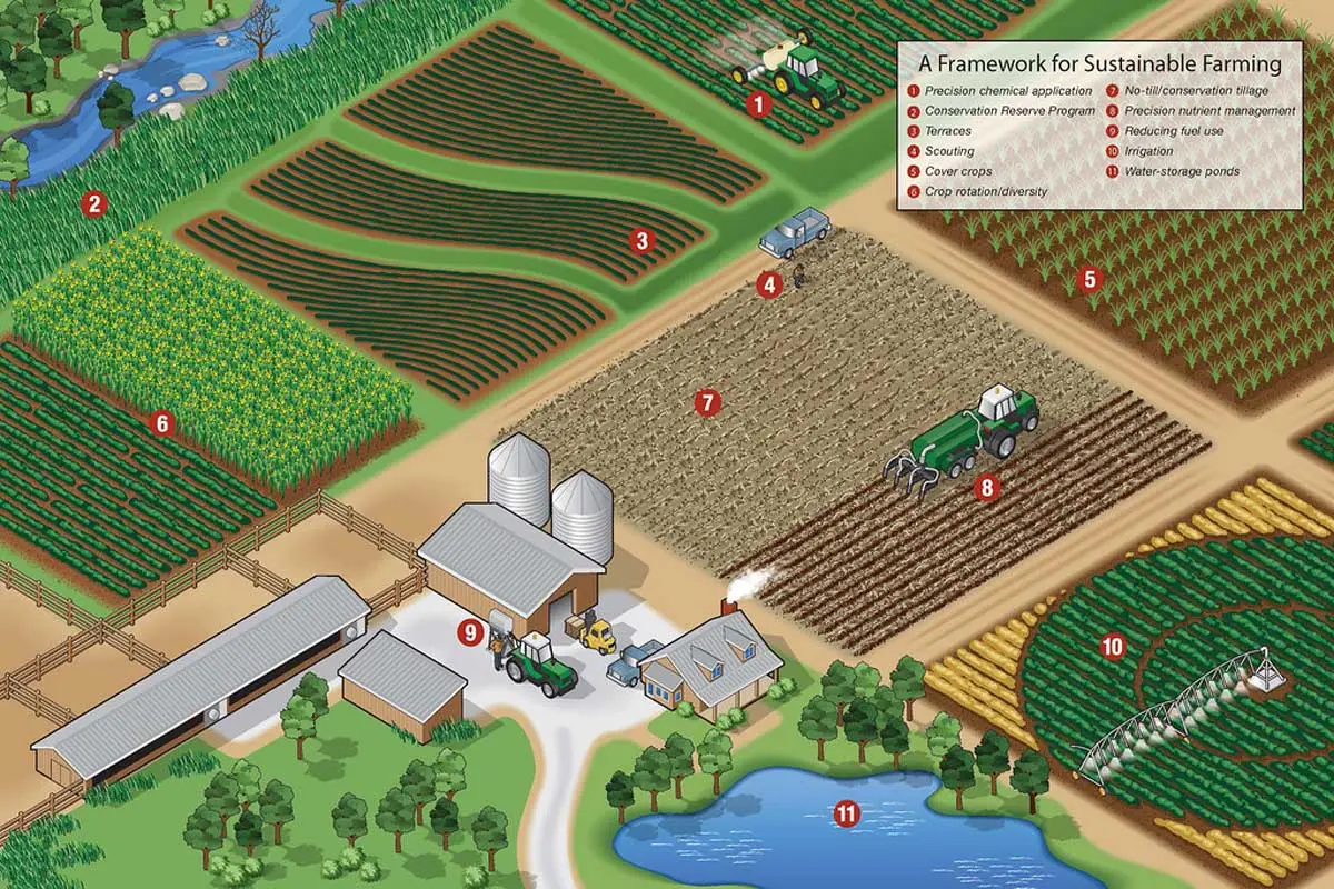 Sustainable farming methods practices infographic eco agriculture farm ecological landscape framework cannabis large designing chemical area environment under licensed cc