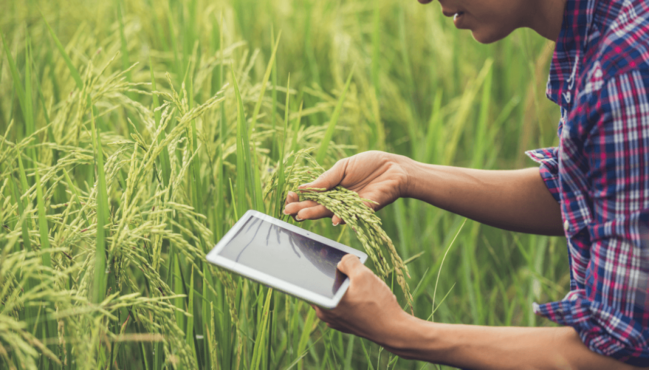 George Farmer's farming techniques and business strategies