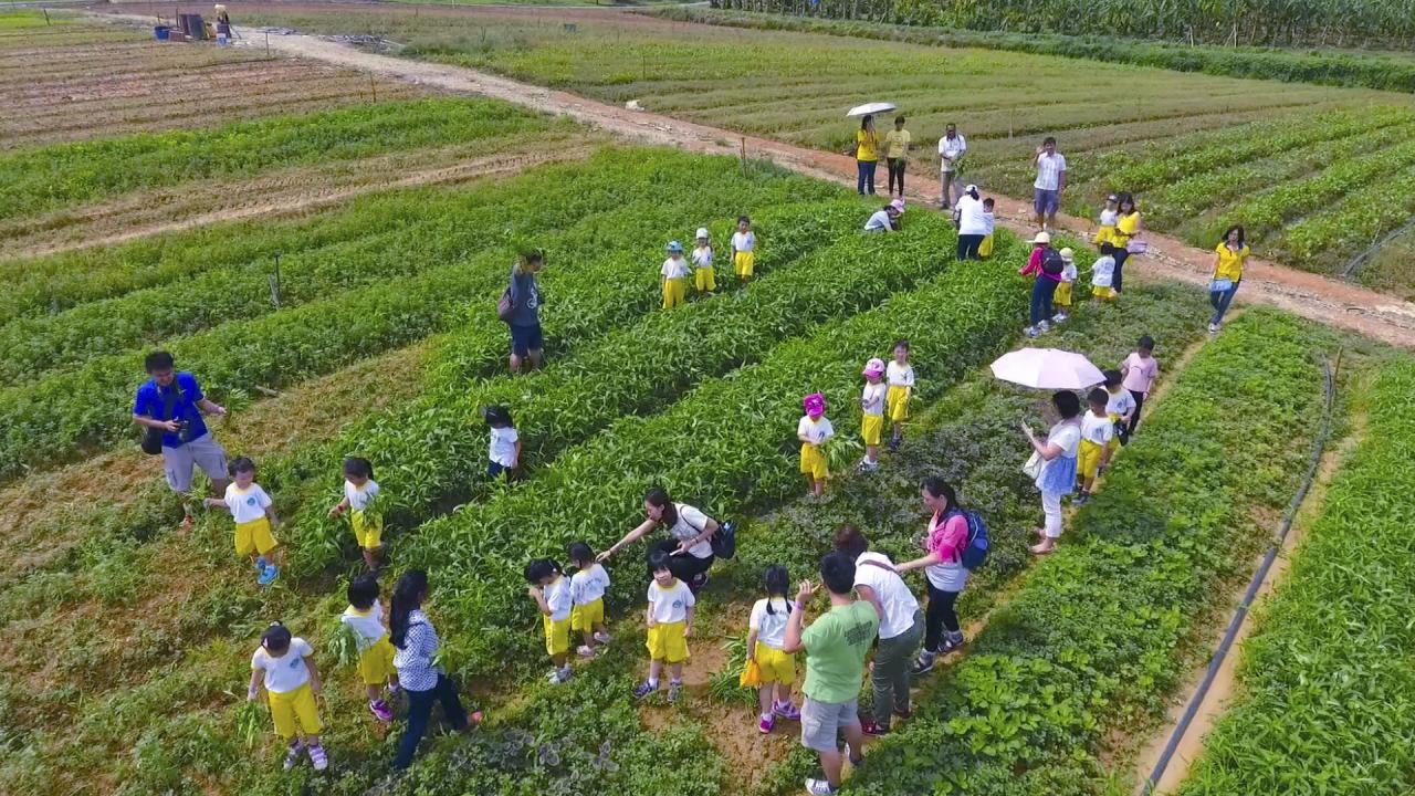 Open farm experiences for families with young children