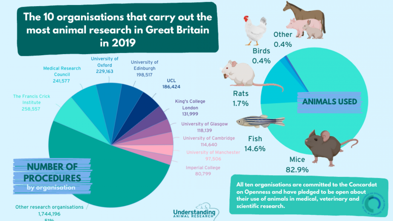 Open farm animal welfare standards and ethical sourcing practices