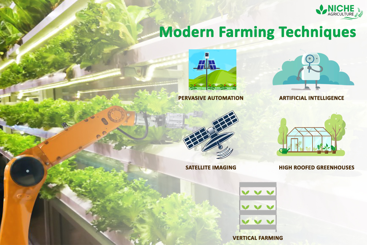 George Farmer's innovative farming techniques and sustainable practices