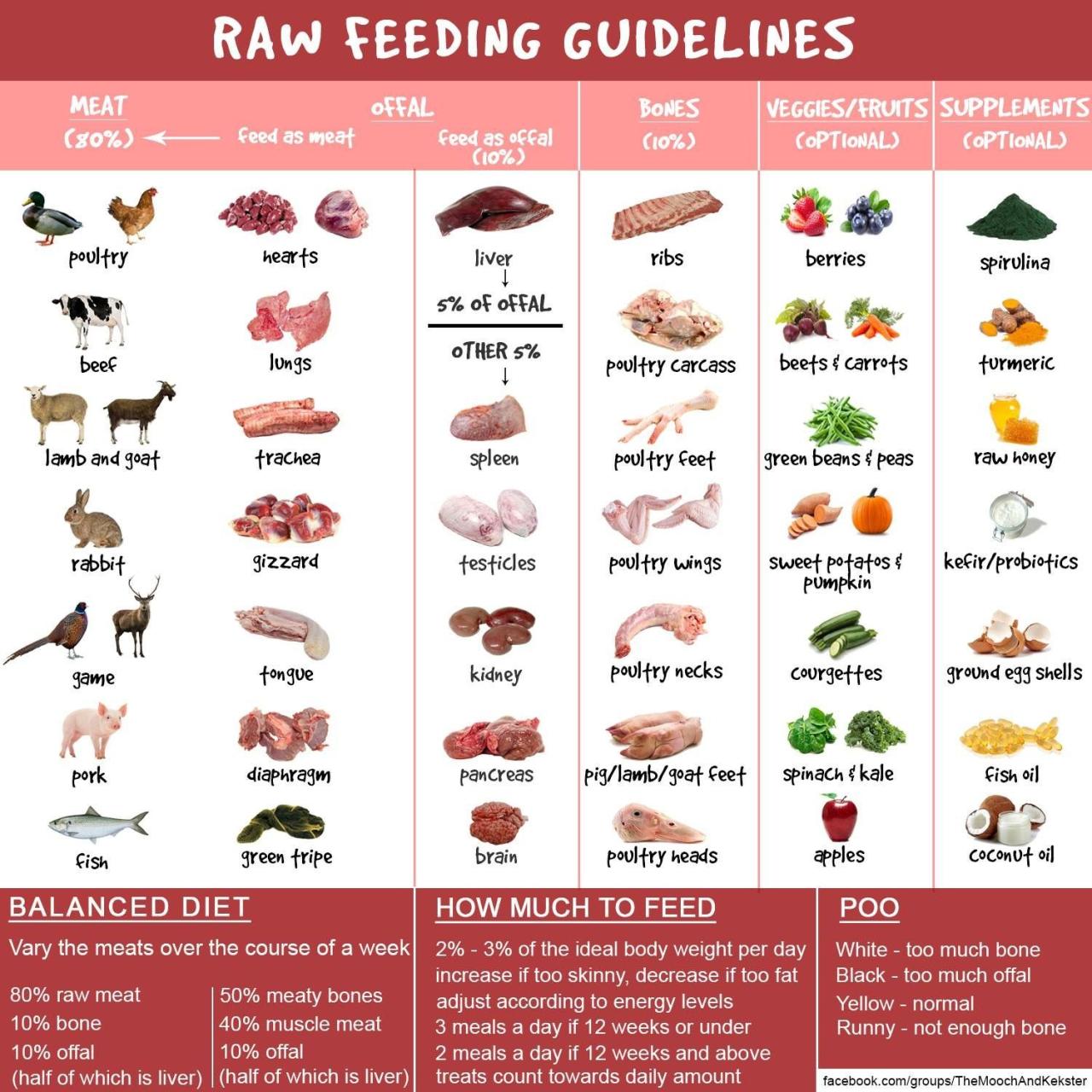 Open Farm raw mix nutritional value and suitability for different breeds of dogs