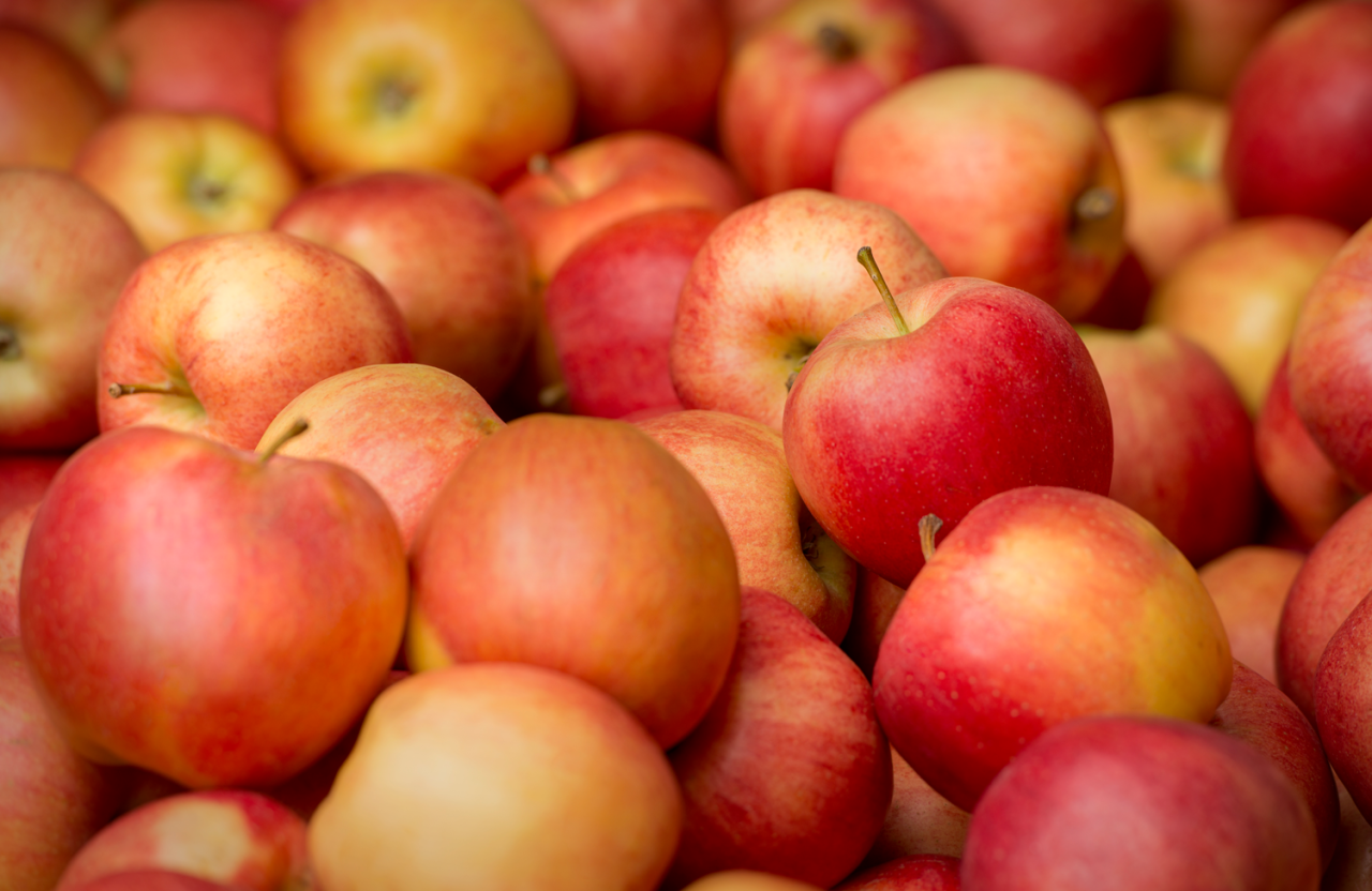 Langley Farm Market's seasonal produce and local sourcing