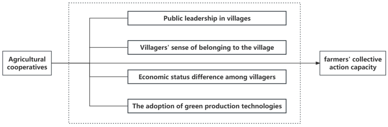 Regina Farmer's impact on local food systems