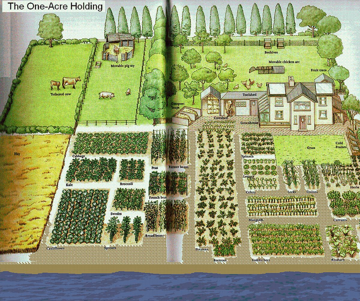 Open farm design and layout for optimal efficiency