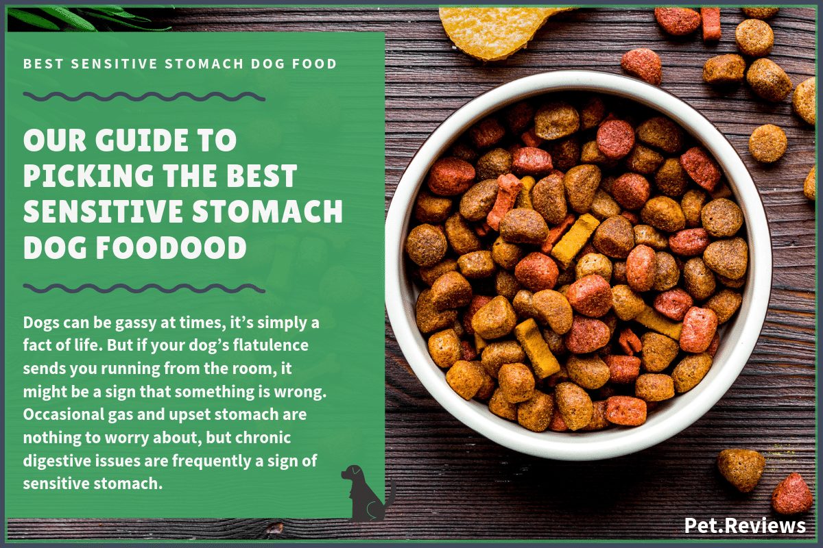 Best Open Farm dog food for large breed puppies