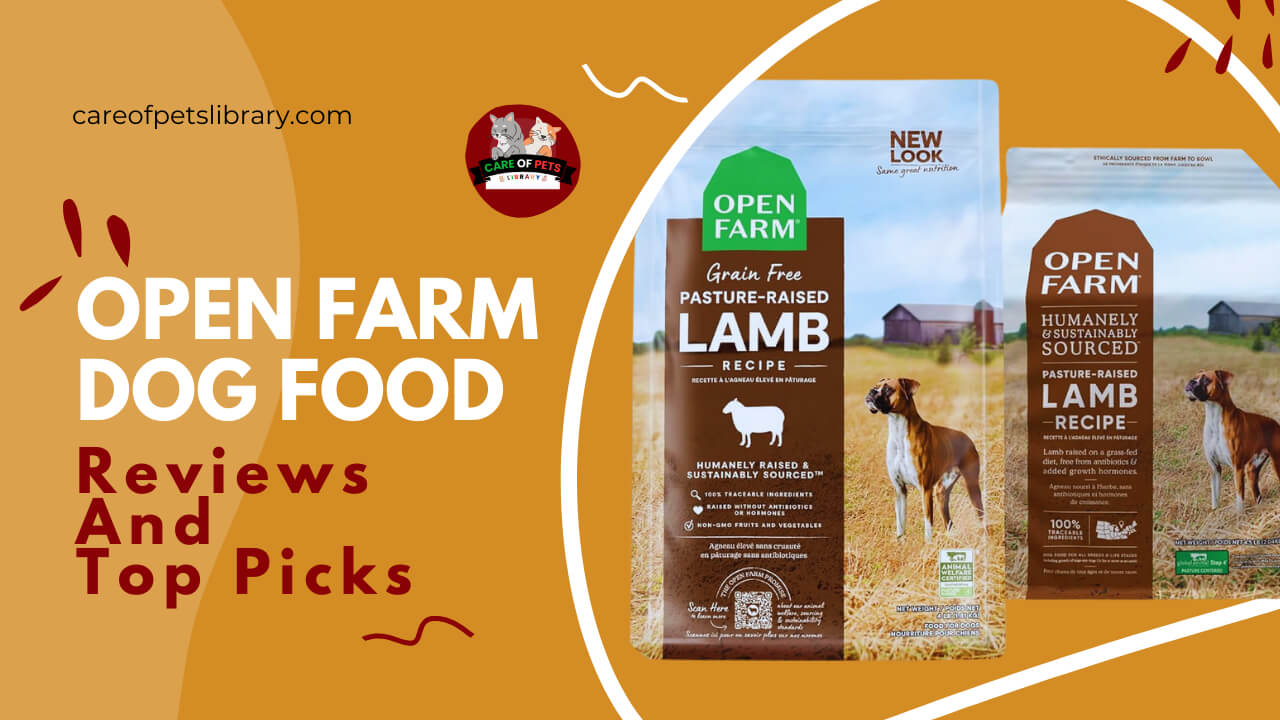 Open Farm dog food reviews and comparisons with other brands