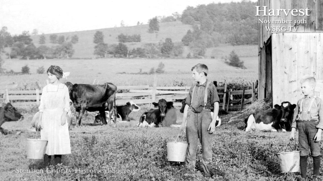 Open farm experiences for families and children