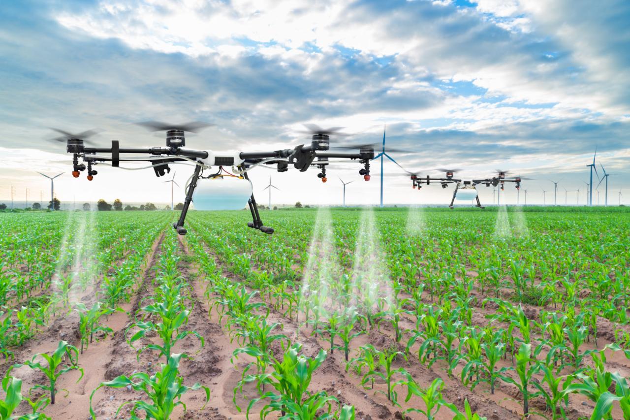 George Farmer's farming techniques and innovations