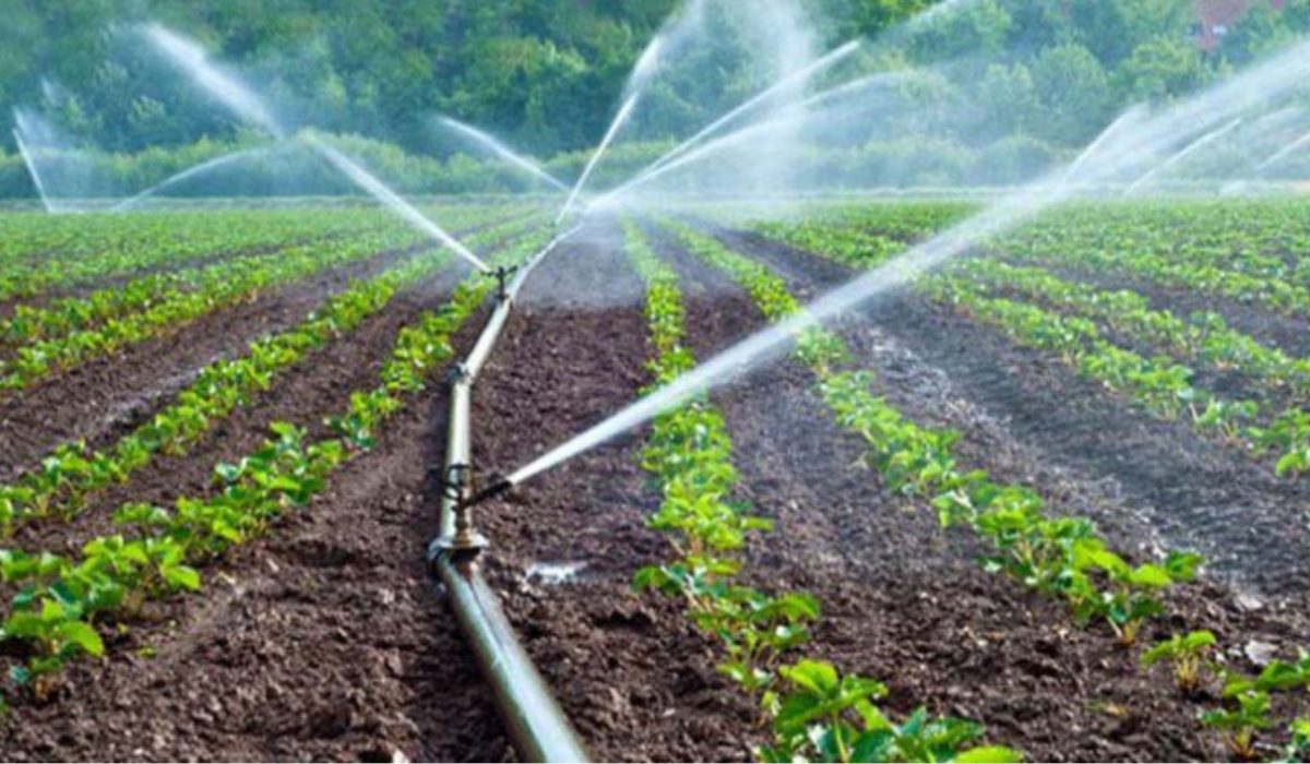 Farmer Jane's sustainable farming practices