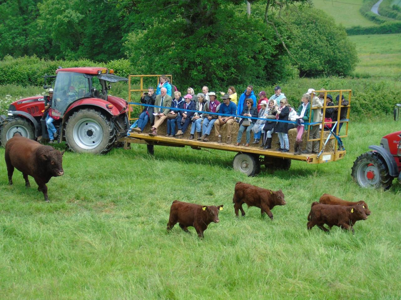 Open farm experiences for families with young children