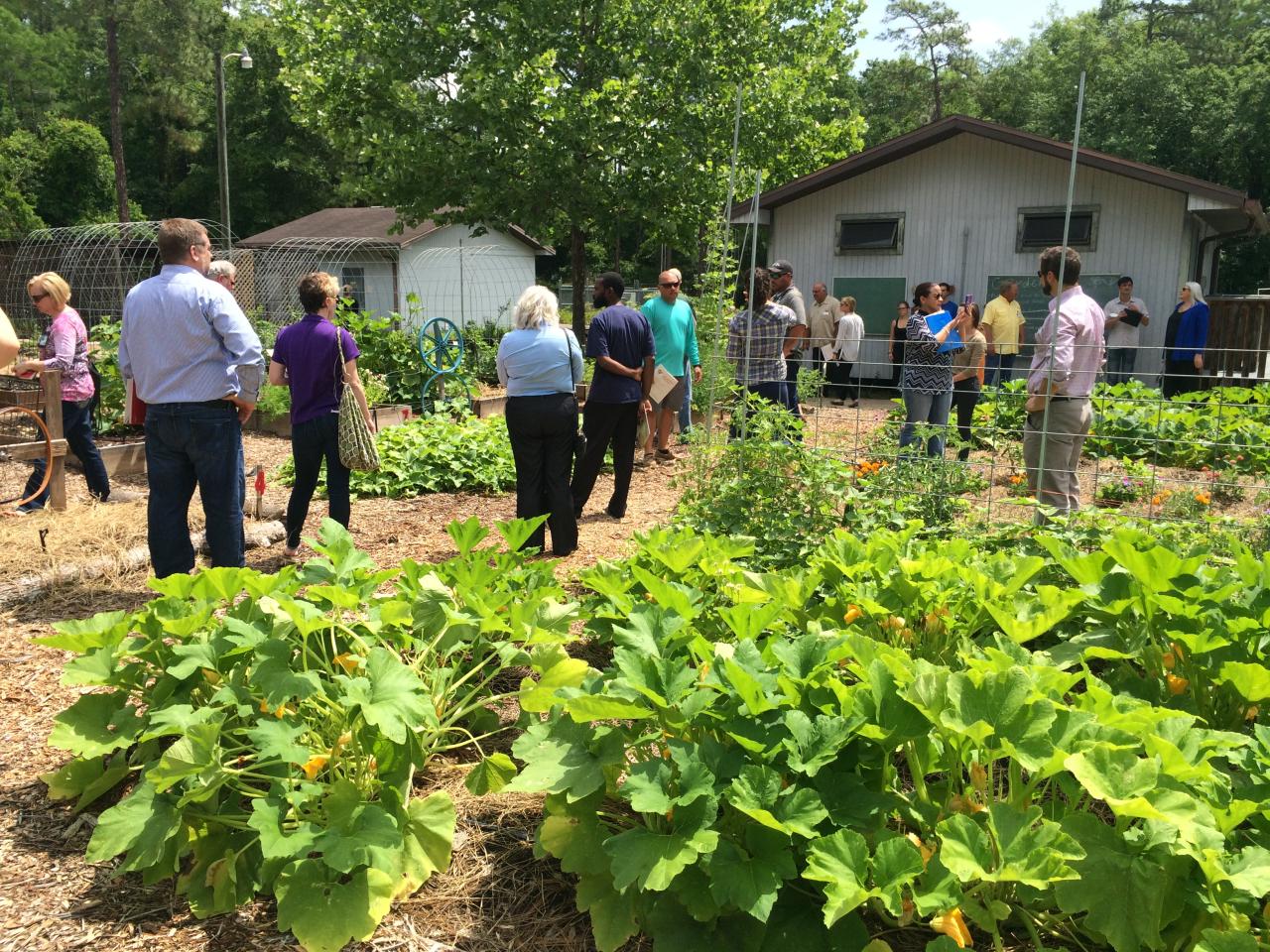 Open farm tours and educational programs near me