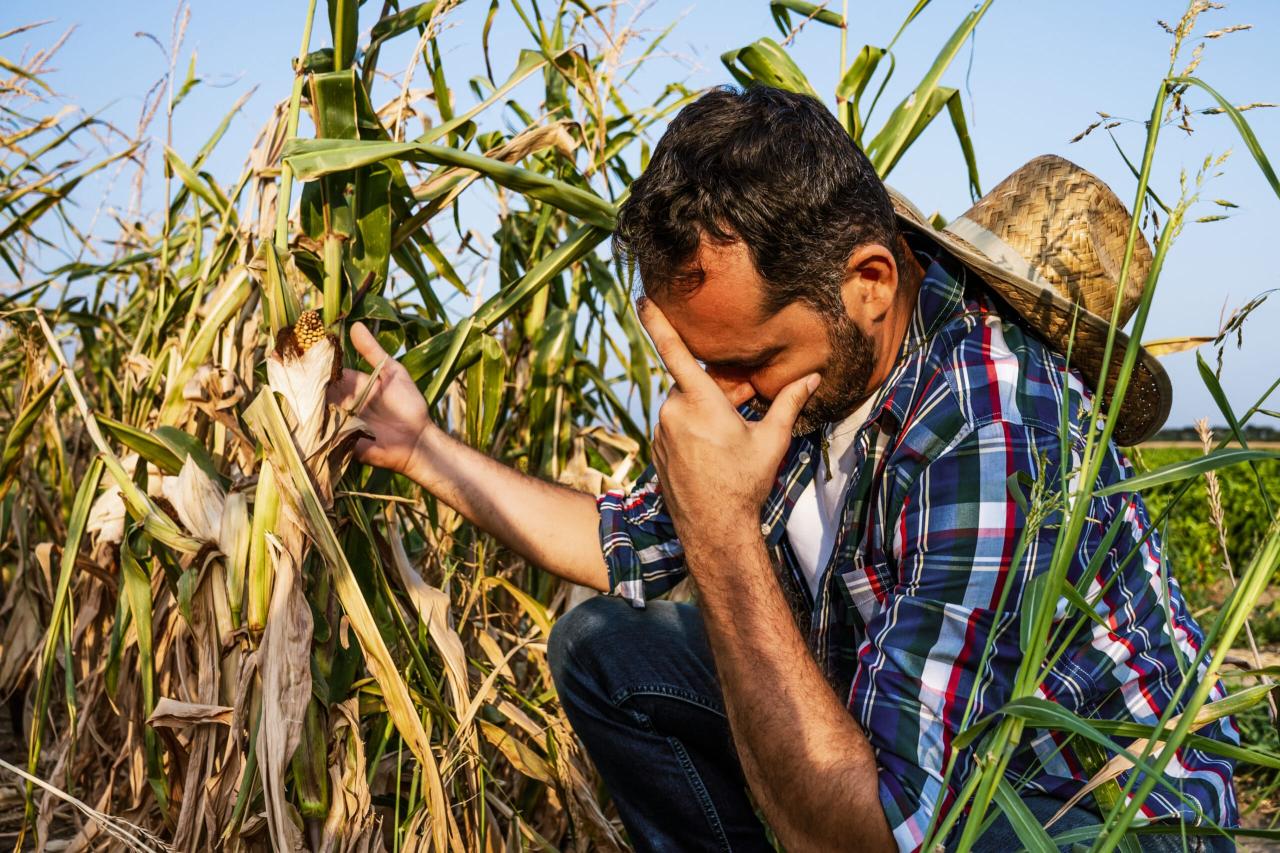 Farmer Jane Regina's impact on local agriculture