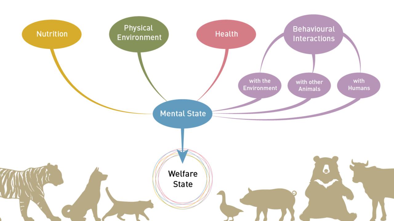 Sargent Farms' animal welfare practices and ethical farming