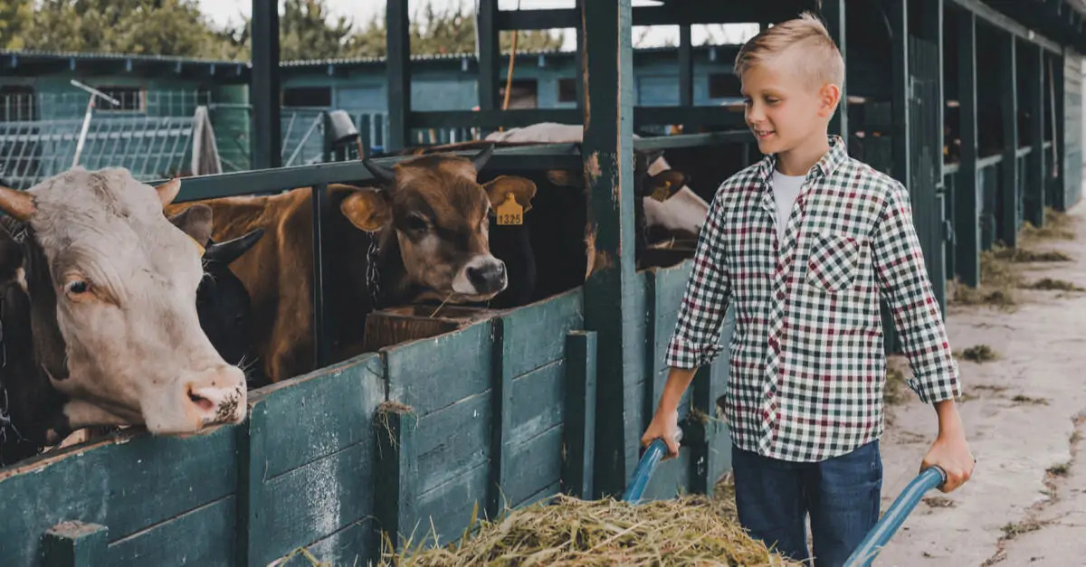 Open farm experience for families with young children