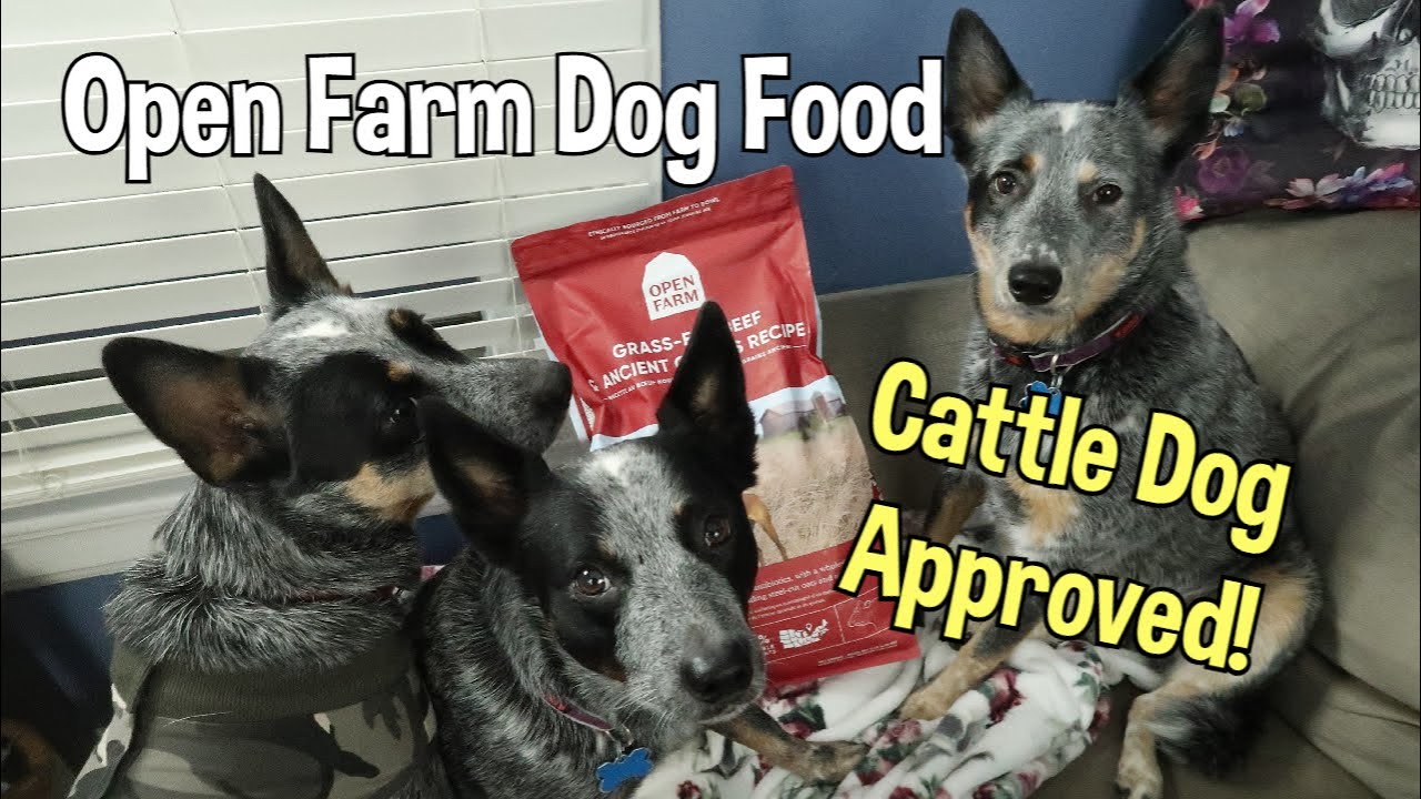 Open Farm dog food reviews and comparison to other brands