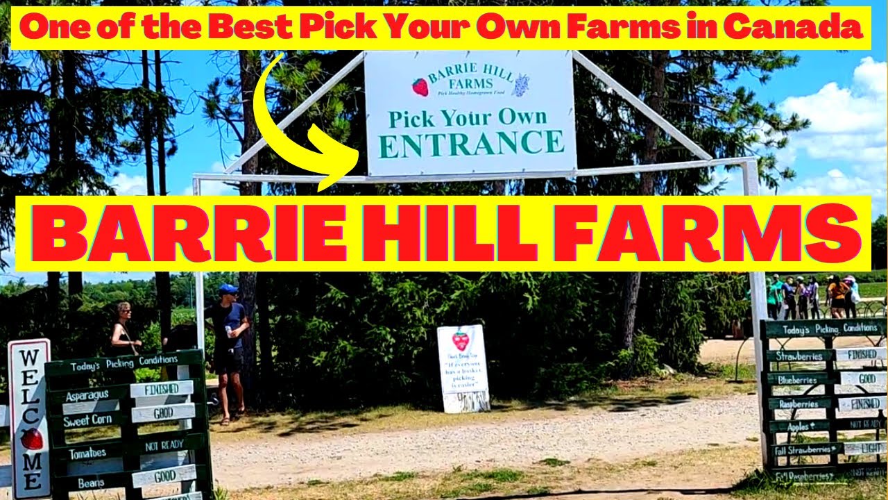 Barrie Hill Farms' community engagement initiatives