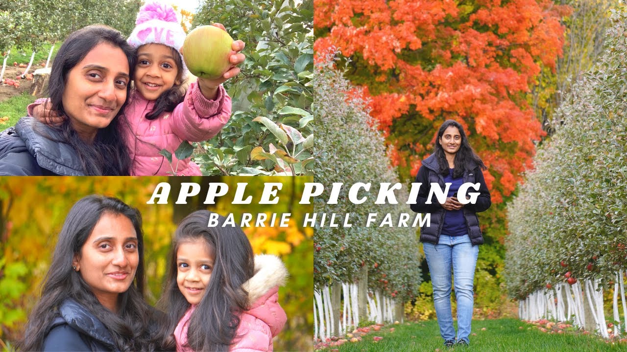 Barrie Hill Farms' community involvement and farm-to-table initiatives