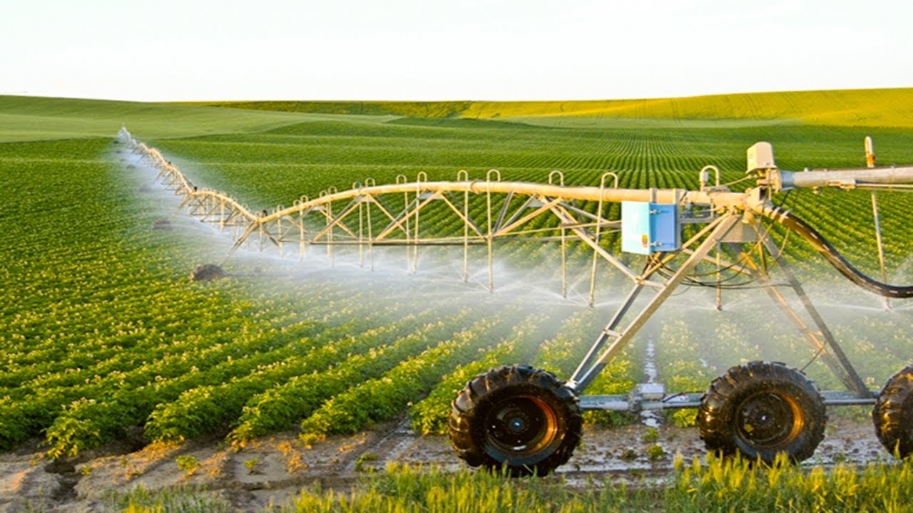 George Farmer's farming techniques and innovations