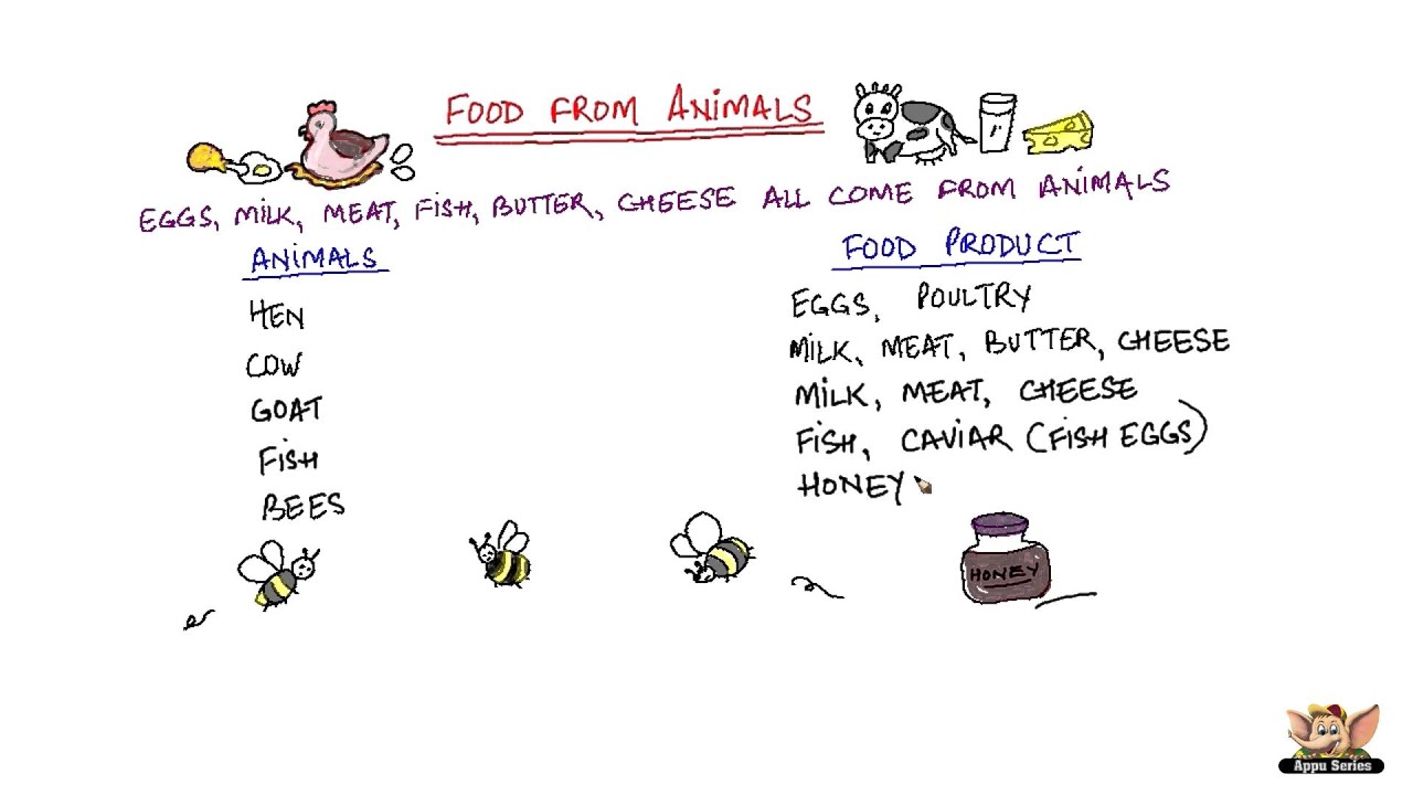 Open Farm pet food ingredients and sourcing