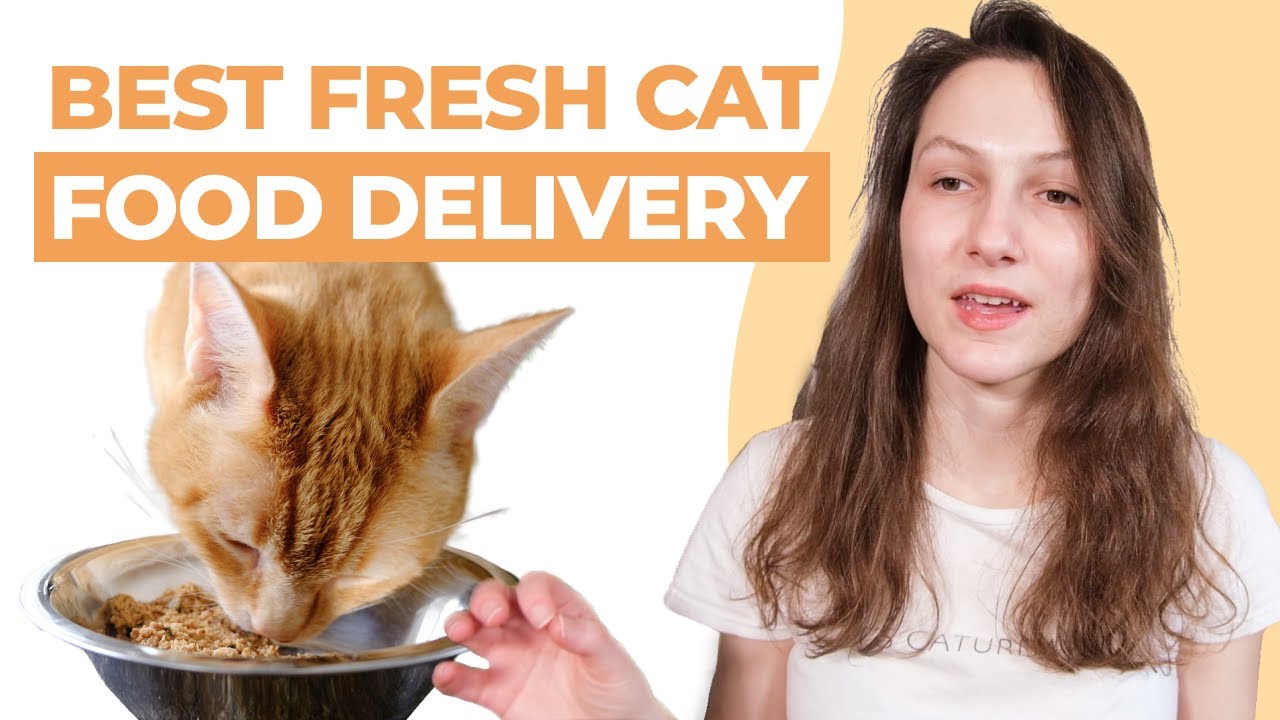 Customer experiences with Open Farm cat food delivery