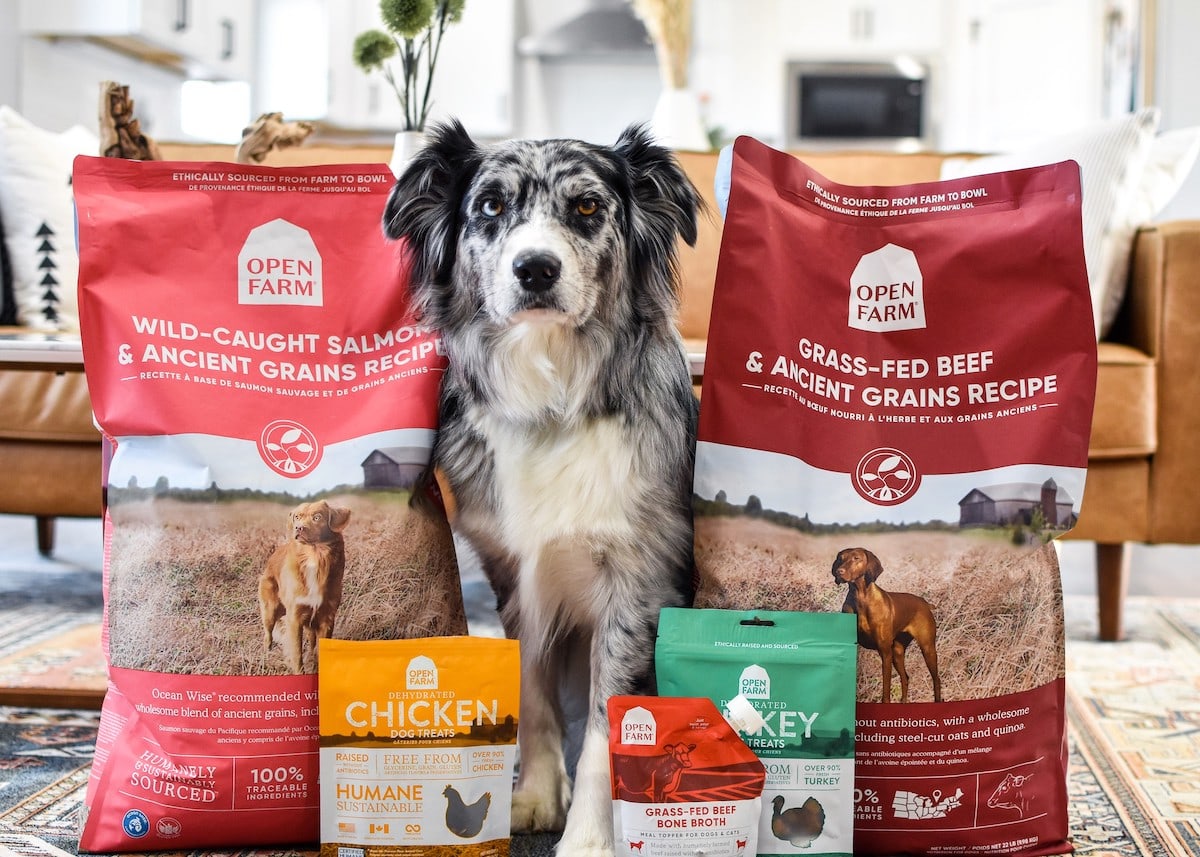 Open Farm dog food recall history and safety concerns