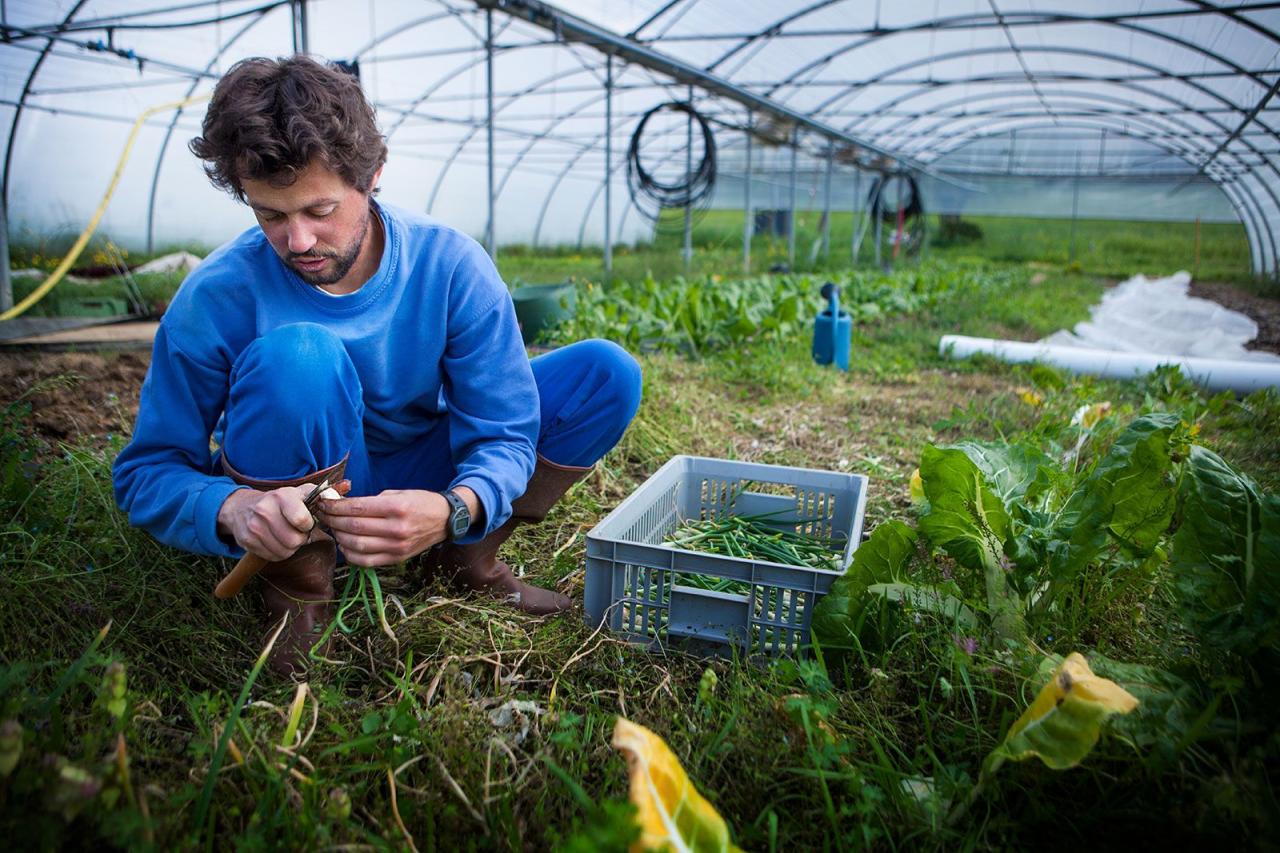 Farmer Jane's sustainable farming methods and impact