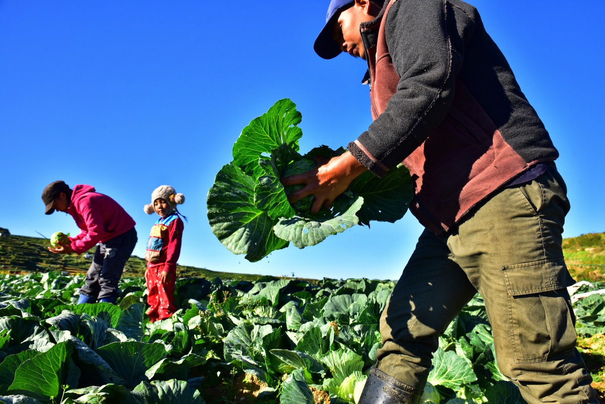 Millennial farmer success stories and challenges in agriculture