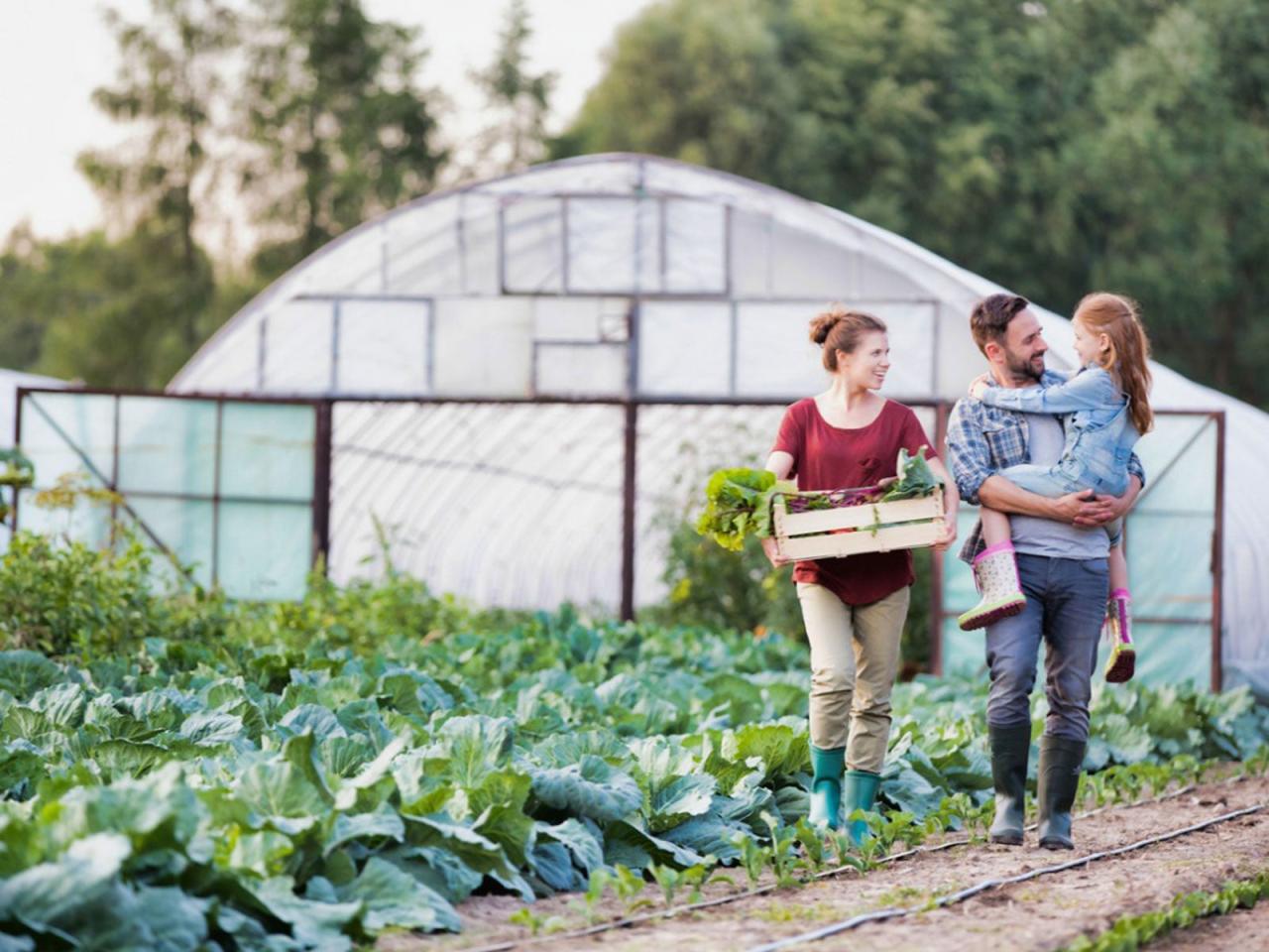 Open farm experiences near me for families