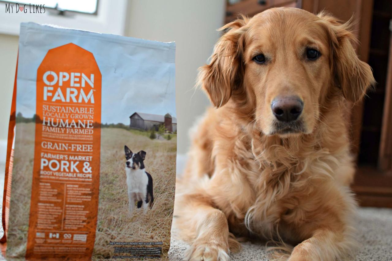 Open Farm dog food reviews and comparisons with other brands