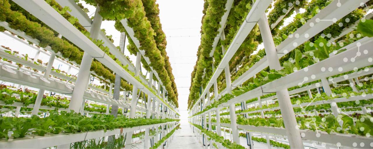 Lufa Farms vertical farming technology and efficiency