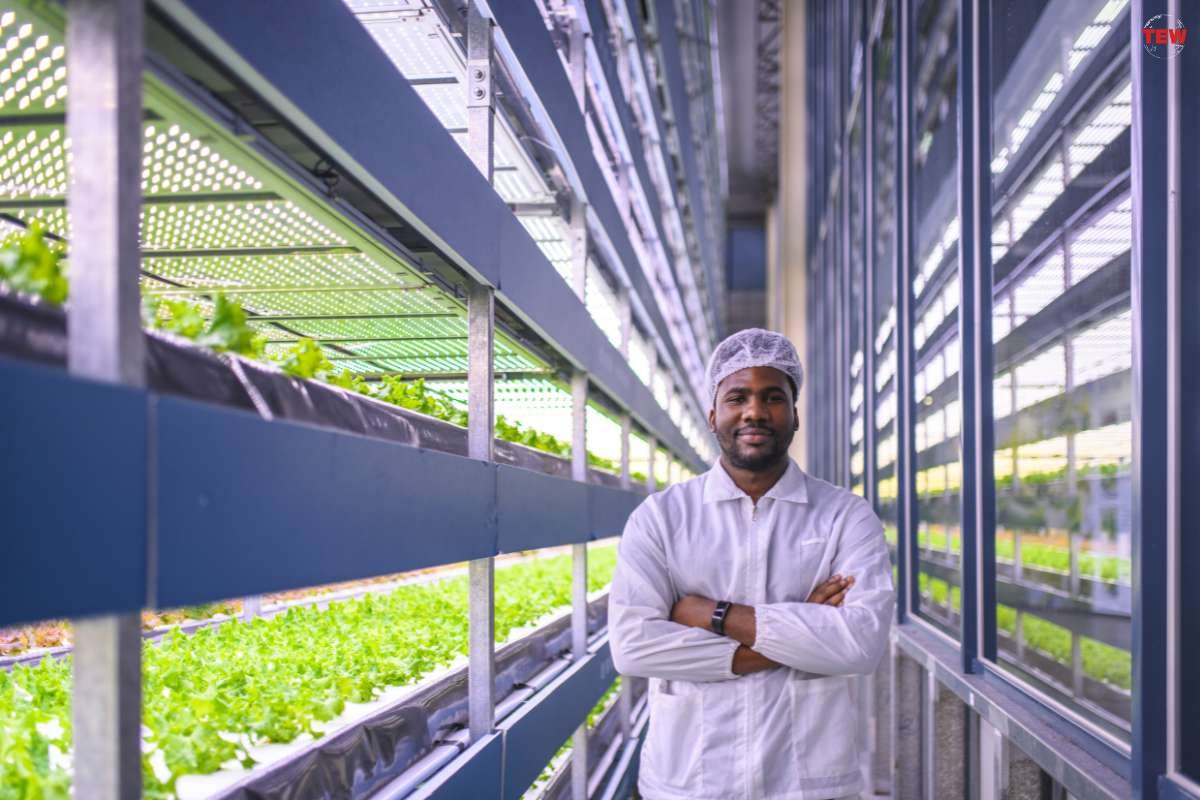 Lufa Farms' vertical farming technology and urban agriculture