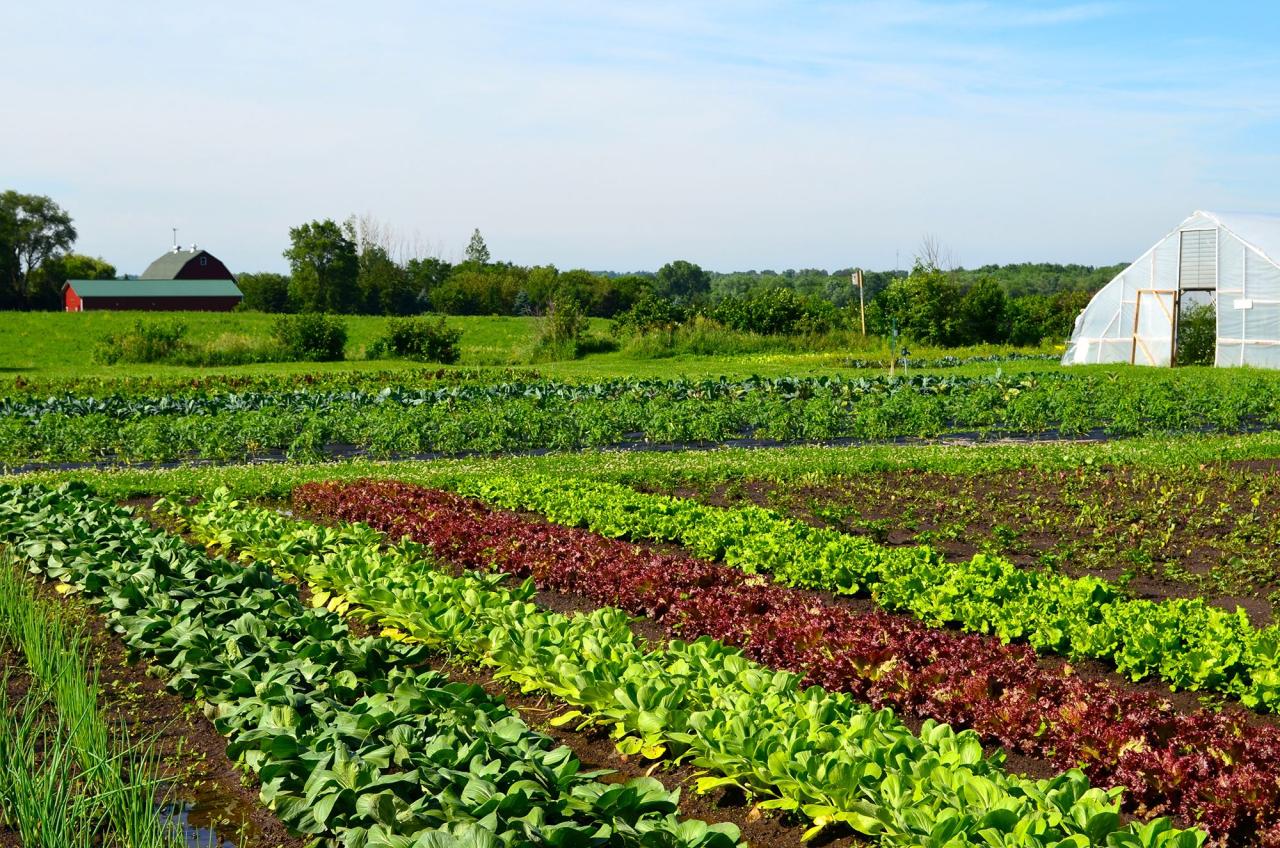 Fiesta Farms' unique produce and farm-to-table initiatives